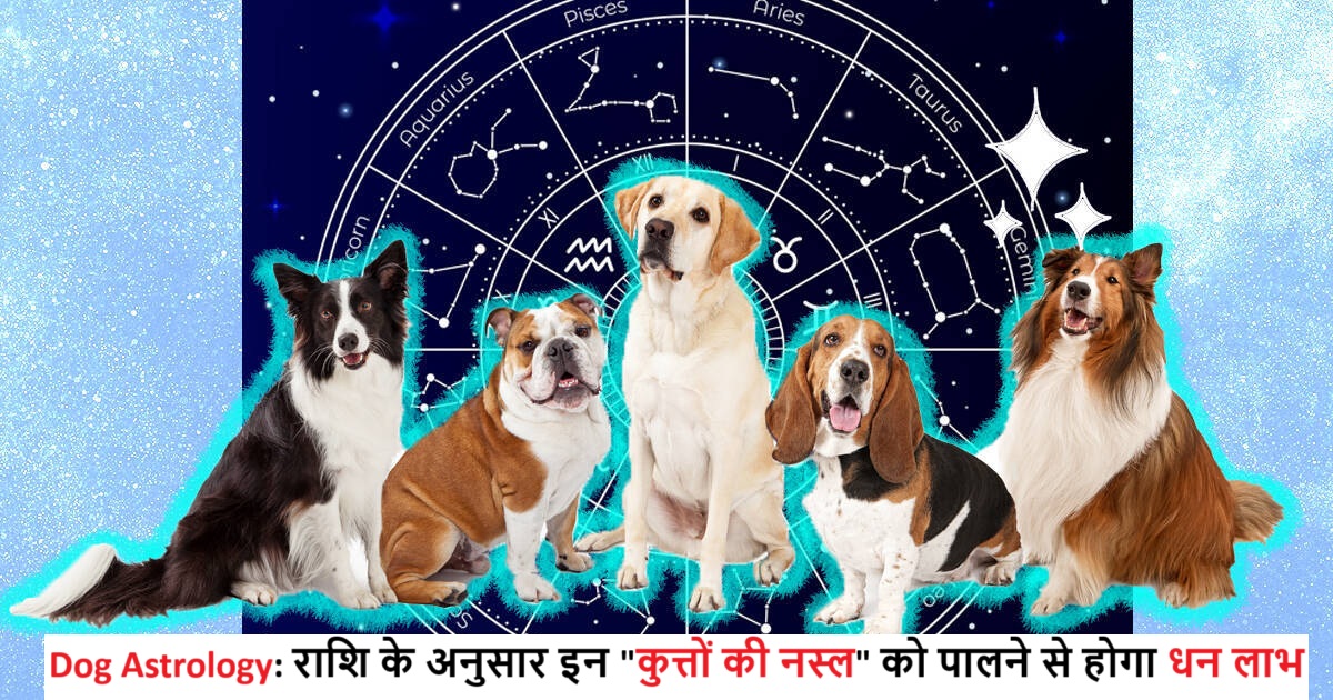 Dog Astrology